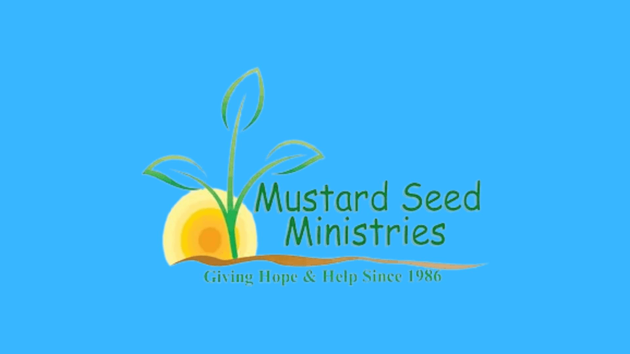 Mustard Seed